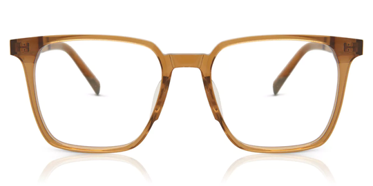 Arise Collective Eyeglasses Aliquippa Blue-Light Block YC-15013 C4