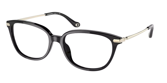 Coach Eyeglasses HC6185 5002
