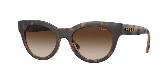 Vogue Eyewear Sunglasses VO5429S 238613