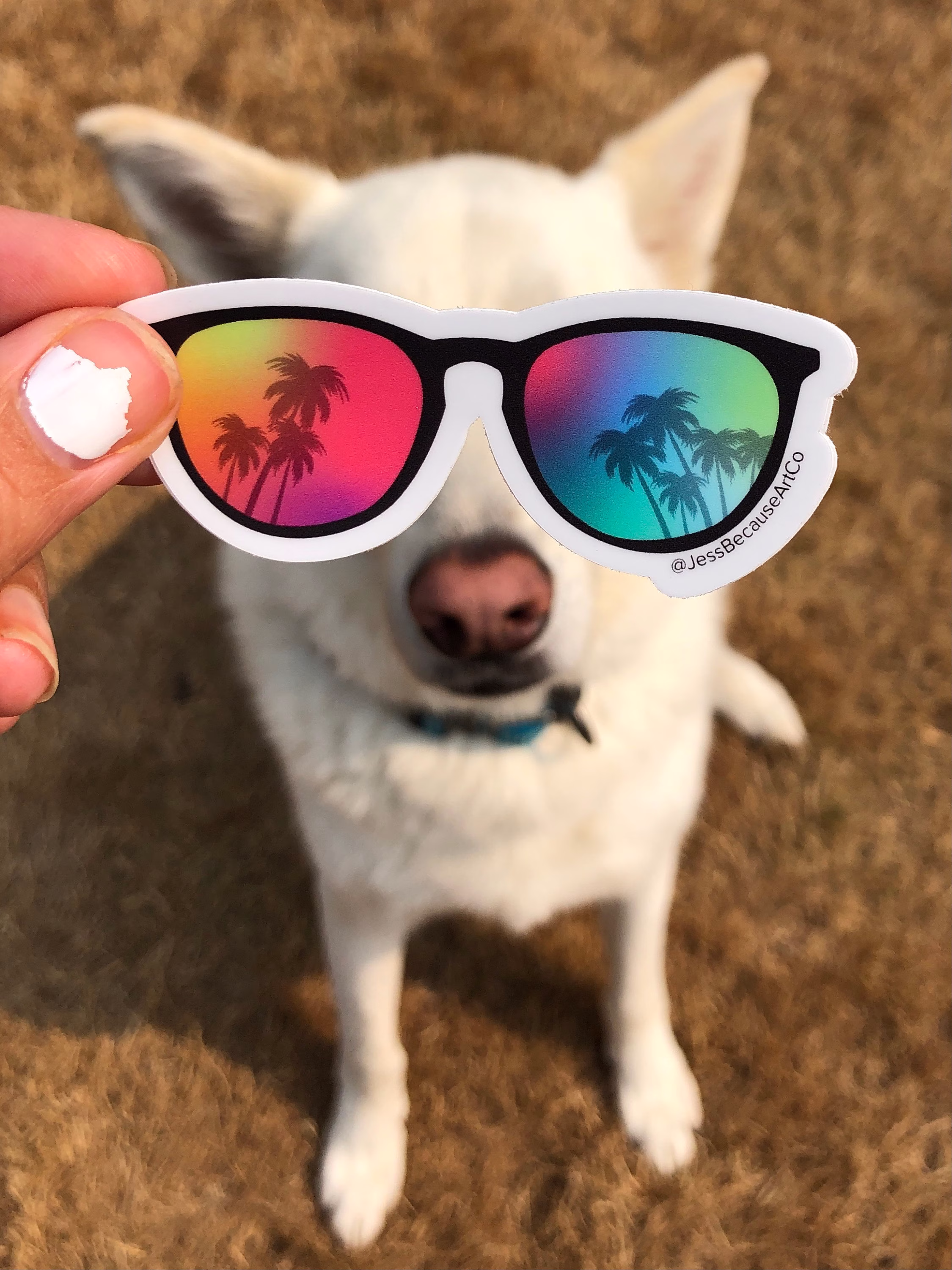 Sunglass Art "Shades On' 3