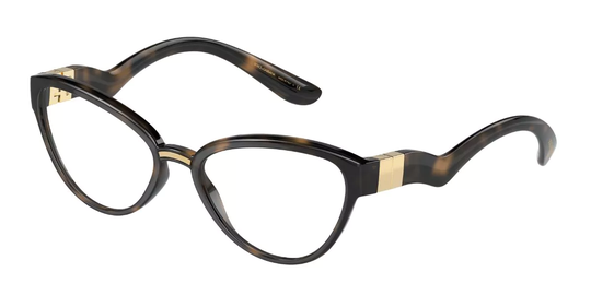 Dolce & Gabbana Eyeglasses DG5079 502
