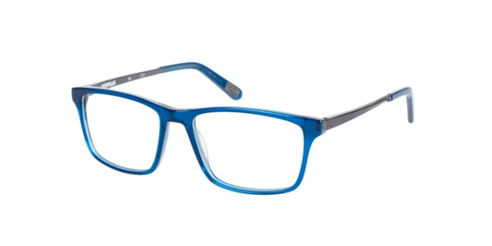 CAT Eyeglasses CTO BULLION 106