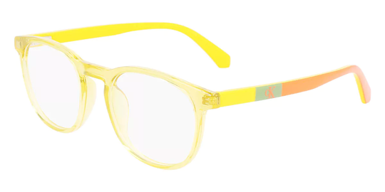Calvin Klein Jeans Eyeglasses CKJ22301 701