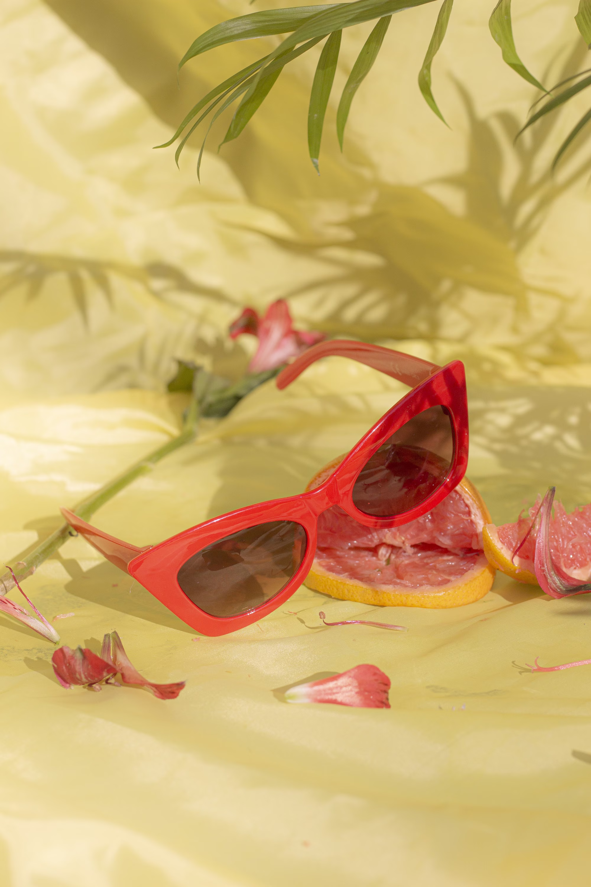 Chunky Red Cat Eye Sunglasses