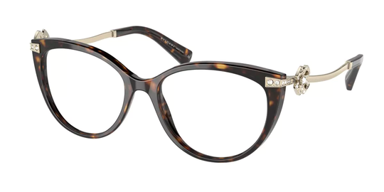 Bvlgari Eyeglasses BV4206B 504