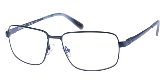 CAT Eyeglasses CTO GANISTER 006