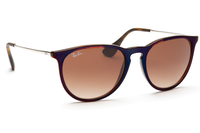 Ray-Ban Erika RB4171 631513 54