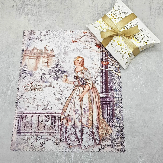 Princess in The Winter Castle Soft Cloth For Eyeglasses, Lens, Spectacles, Screens, Christmas Stocking Filler, Small Gift