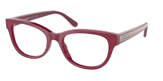 Coach Eyeglasses HC6187 5615