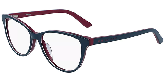 Calvin Klein Eyeglasses CK19516 435