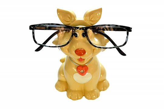 Cat Reading Glasses Holder & Money Box