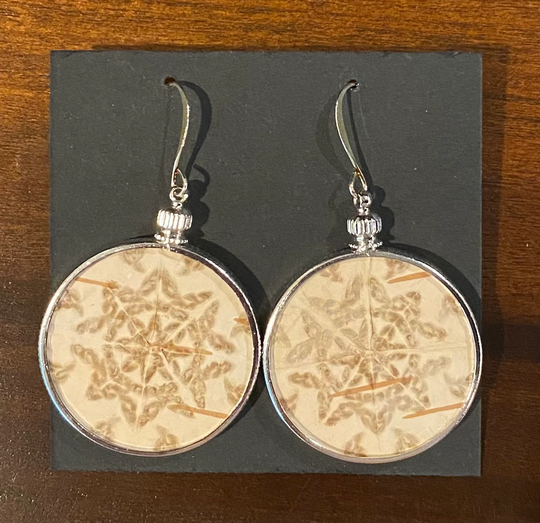 Bitten Birch Bark Earrings