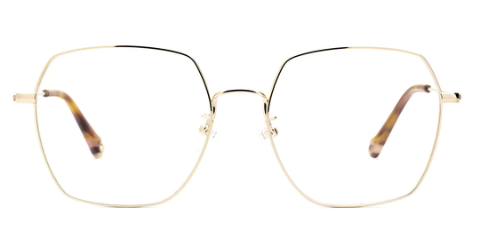 Etnia Barcelona Eyeglasses LKF.A Asian Fit GDHV
