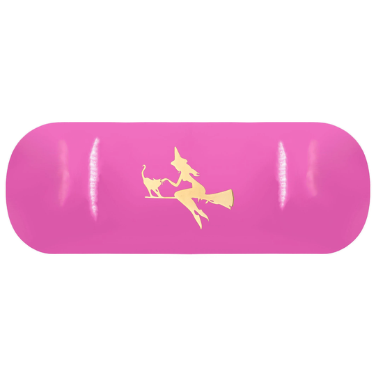 Gold Witch Hard Glasses Case. Fly & Cat Spectacle Flying Reading Eyeglasses Witchcraft Sunglasses