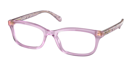 Coach Eyeglasses HC6174 5696