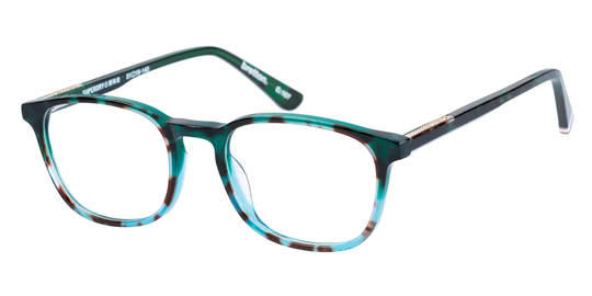 Superdry Eyeglasses SDO BRETTON 107