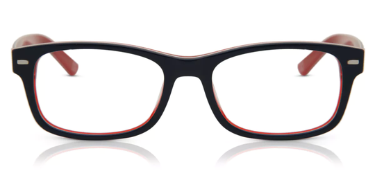 SmartBuy Collection Eyeglasses Rumbo AM87A
