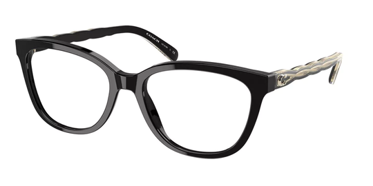 Coach Eyeglasses HC6186 5002