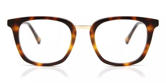 SmartBuy Collection Eyeglasses Luk DF-243 007