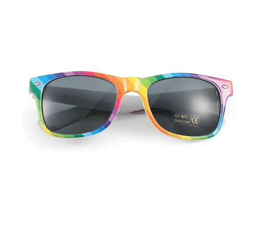 Adults Mens Womens Wayfar Rainbow Flag Black Tint Sunglasses Shades Uv400