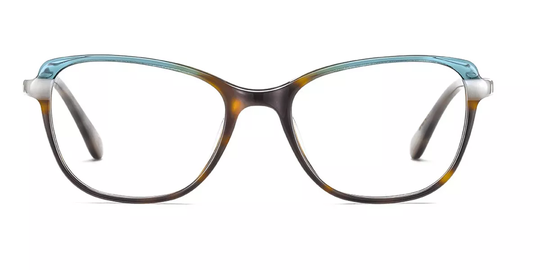 Etnia Barcelona Eyeglasses NOTRE DAME P. HVBL