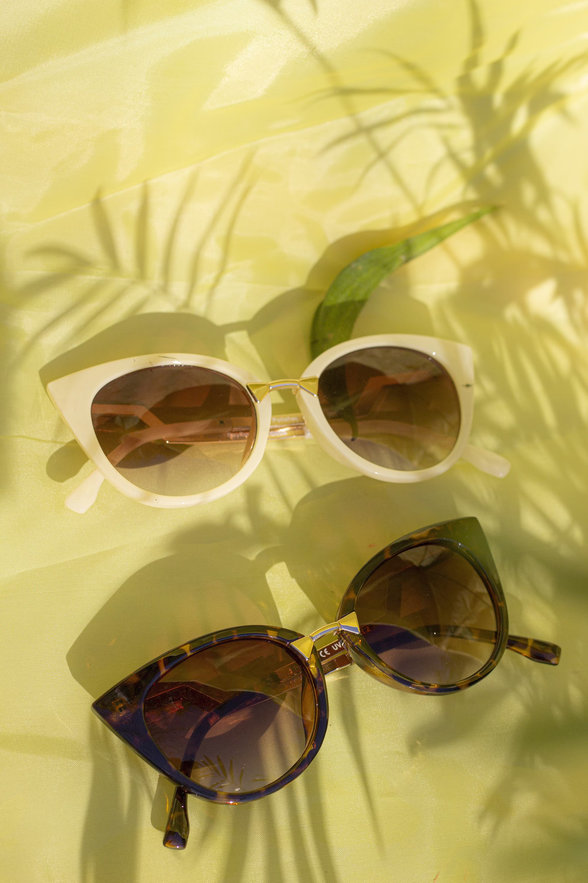 Cat Eye Sunglasses With Gold Bar Detail