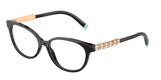 Tiffany & Co. Eyeglasses TF2203B 8001