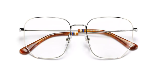 Etnia Barcelona Eyeglasses Texas SLHV