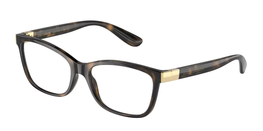 Dolce & Gabbana Eyeglasses DG5077 502