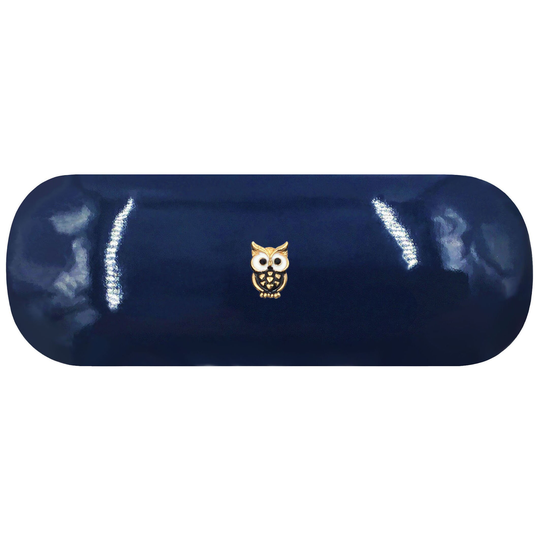Owl Hard Glasses Case. Night Spectacle Animal Aviary Reading Eyeglasses Bird Of Prey Sunglasses Barn Birthday Gift