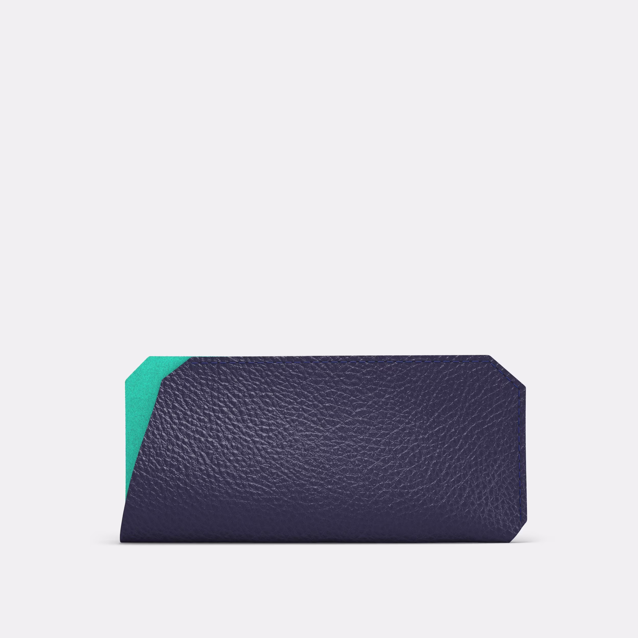 Sunglasses Case - Navy & Mint