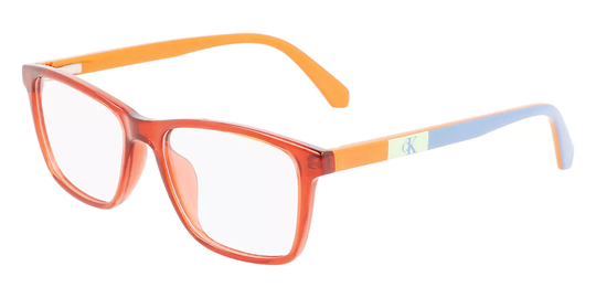 Calvin Klein Jeans Eyeglasses CKJ22302 820