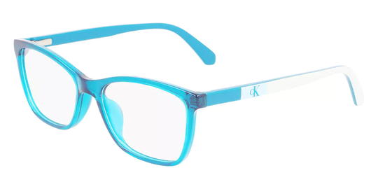 Calvin Klein Jeans Eyeglasses CKJ22304 432