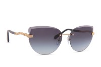 Bvlgari BV6172B 20148G 62